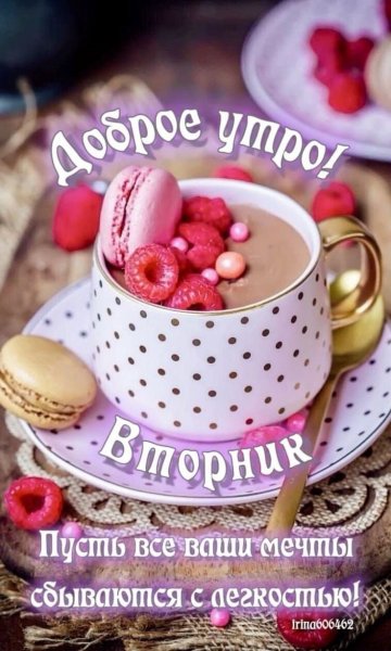 Друзья мои!