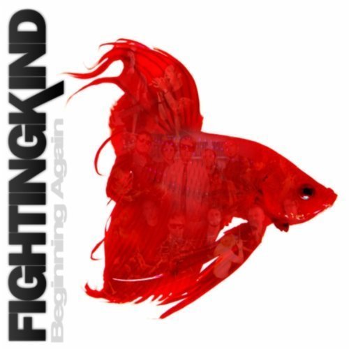 Fighting Kind - Beginning Again