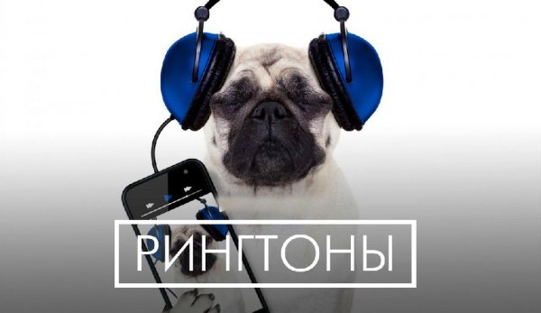 (Рингтон) Ирина Аллегрова - Привет Андрей!