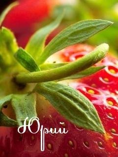 ЮРА 1