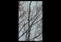 Порой бывает грустно