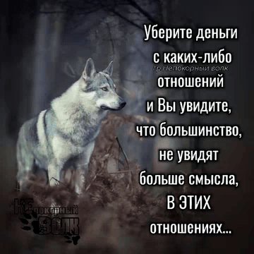 IMG 20260503 061931