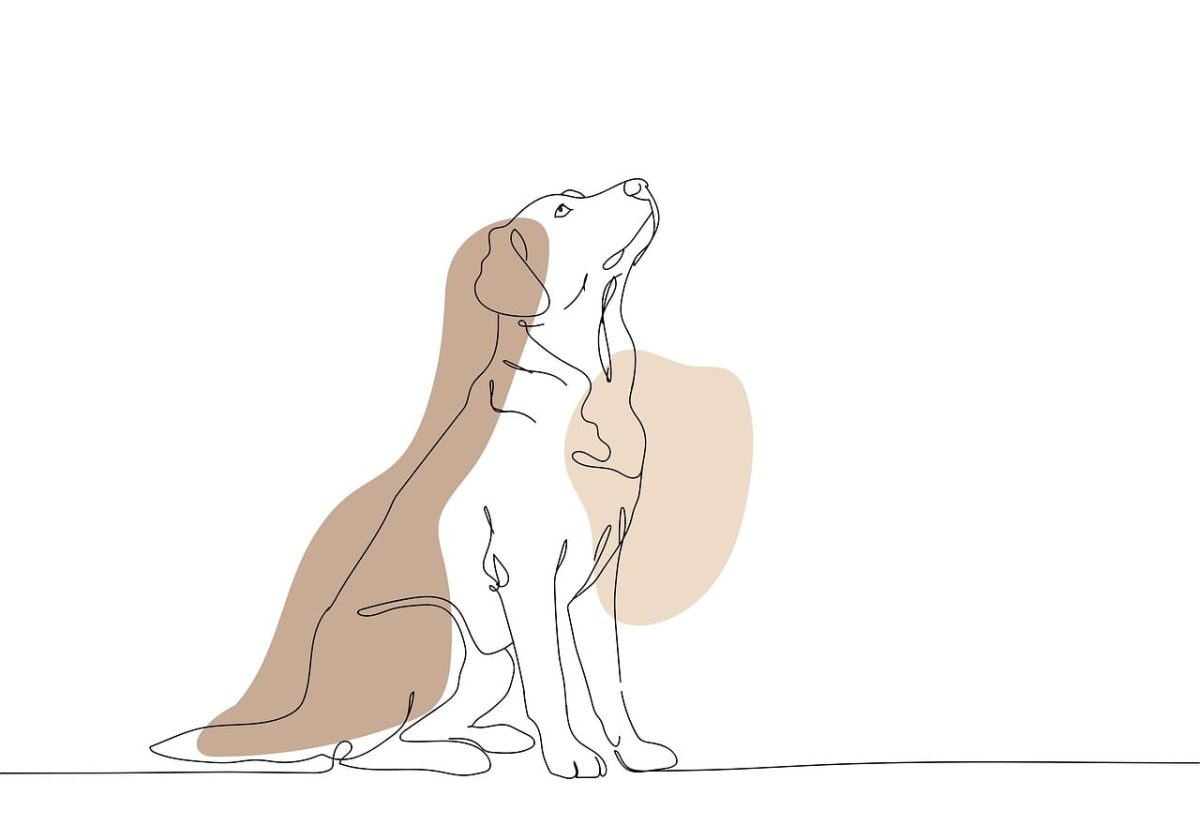 dog, labrador, boho, laptop wallpaper, free background, windows wallpaper, nature, desktop backgrounds, beautiful wallpaper, full hd wallpaper, bohemian, hd wallpaper, 4k wallpaper 1920x1080, 4k wallpaper, wallpaper 4k, drawing, animal, free wallpaper, cool backgrounds, background, wallpaper hd, simplicity, line drawing, minimalistic, mac wallpaper, pet, animals
