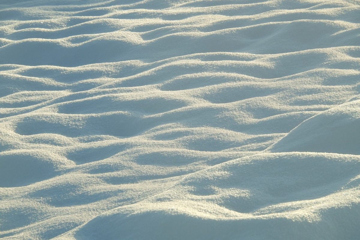 snow, winter, nature, cold, landscape, snowdrift, snowy, frost