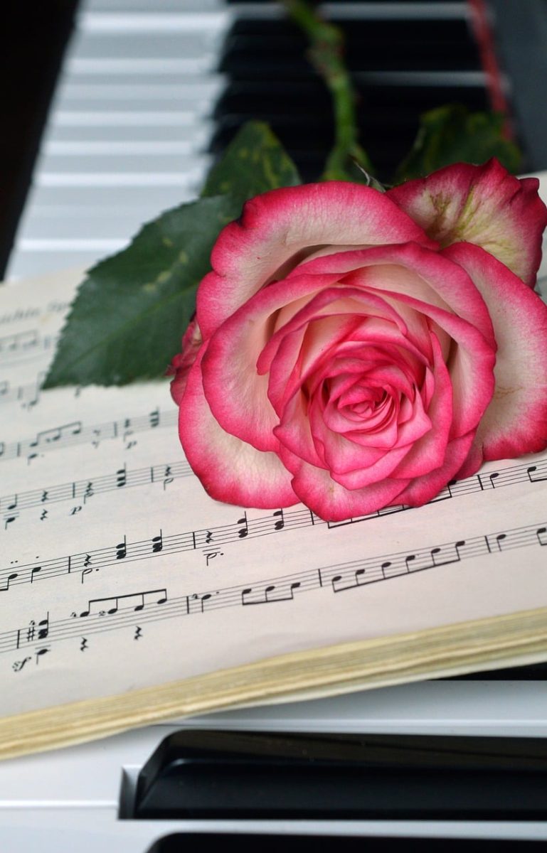 rose, sheet music, flower, blossom, bloom, teacher gradebook, love, grades, make music, concert, songs, love song, to sing, choir, sounds, music, melody, valentine, wedding song, love for music, notenblatt, birthday song, date of birth, birthday greeting, valentine's day