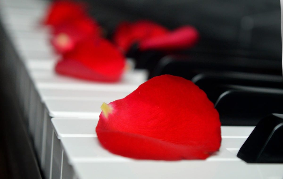 rose petals, wedding song, piano, piano keyboard, keyboard, make music, concert, songs, love song, to sing, choir, sounds, music, melody, love for music, birthday song, date of birth, birthday greeting, valentine, valentine's day, love, petals, red petals