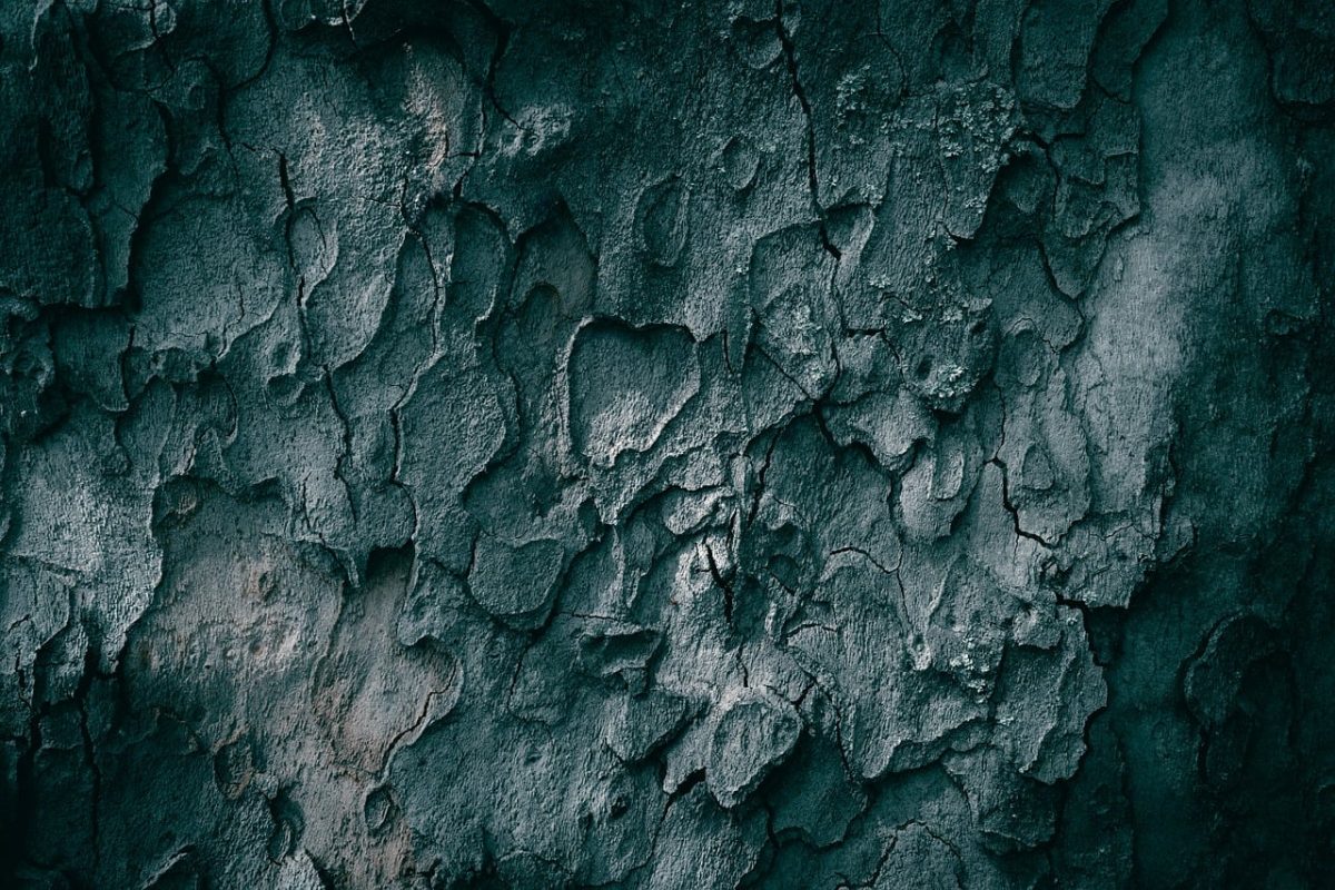 tree, hd wallpaper, laptop wallpaper, nature wallpaper, bark, texture, cool backgrounds, wallpaper 4k, forest, full hd wallpaper, free wallpaper, wallpaper hd, rough, pattern, crack, tree bark, beautiful nature, textured, dark, wood, planetree, dark background, close up, grunge, 4k wallpaper, backdrop, wallpaper, desktop backgrounds, old, windows wallpaper, aged, sycamore, abstract, nature background, trunk, nature, 4k wallpaper 1920x1080, beautiful wallpaper, free background, background, mac wallpaper, backgrounds, detail