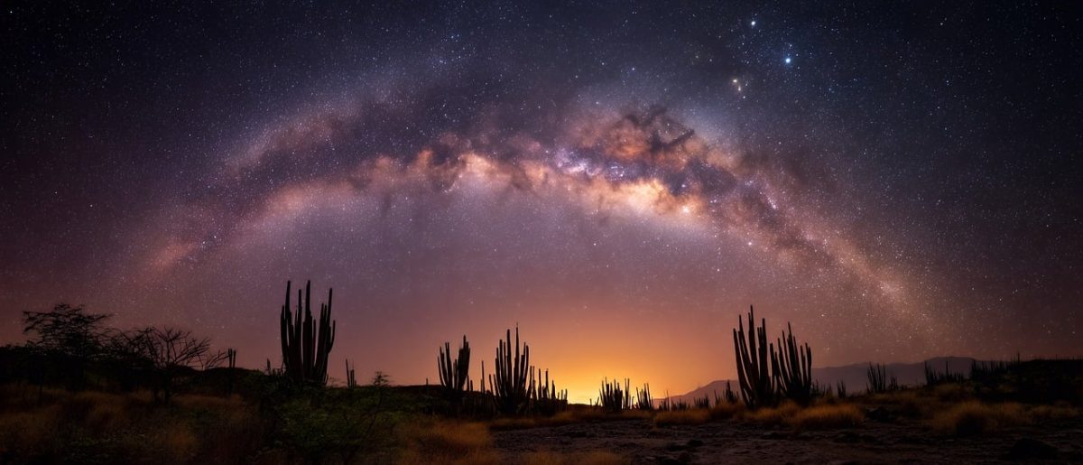 night, sky, star, brazil, landscape, desert, cactus, silhouette, dark, astronomy, galaxy, space, universe, cosmos, nature, outdoor, scenic, travel, environment, biome, exclusive, america, south, horizon, ai generated