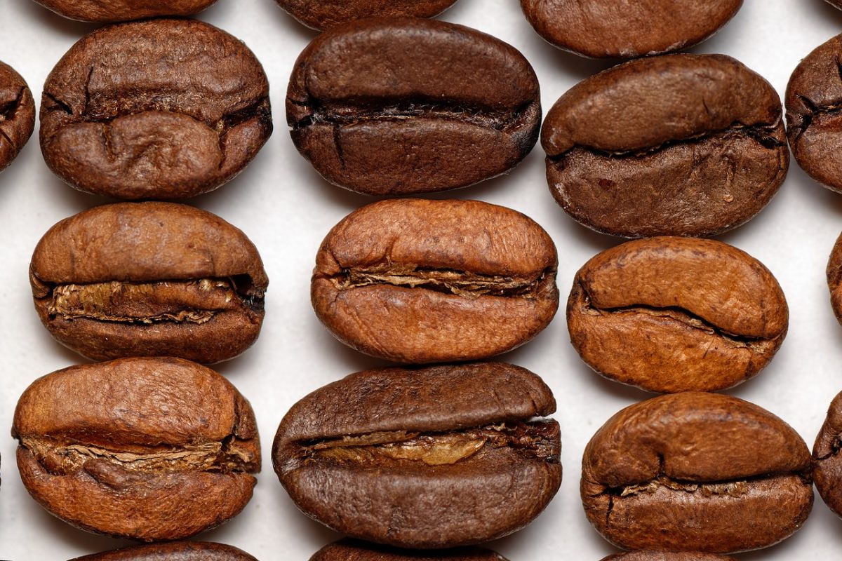 coffee, grain, beans, cafe, pattern, closeup, diversity, crop, food, drink, heterogeneity