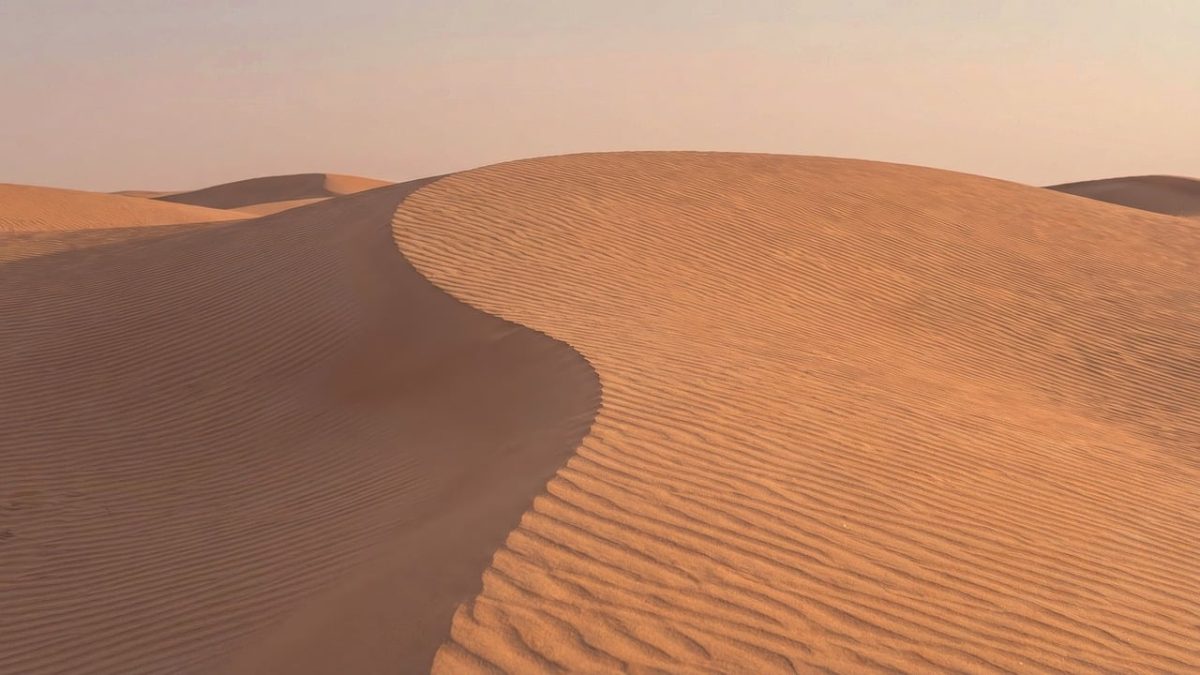 sand dunes, desert sand dunes, sand dunes texture, dune ripples, golden sand dunes, minimal sand dunes, desert texture, wind ripples sand, sand patterns, smooth sand dunes, desert landscape minimal, hd wallpaper, sand dune closeup, zen sand dunes, morning sand dunes, sand texture, nature abstract, 4k wallpaper