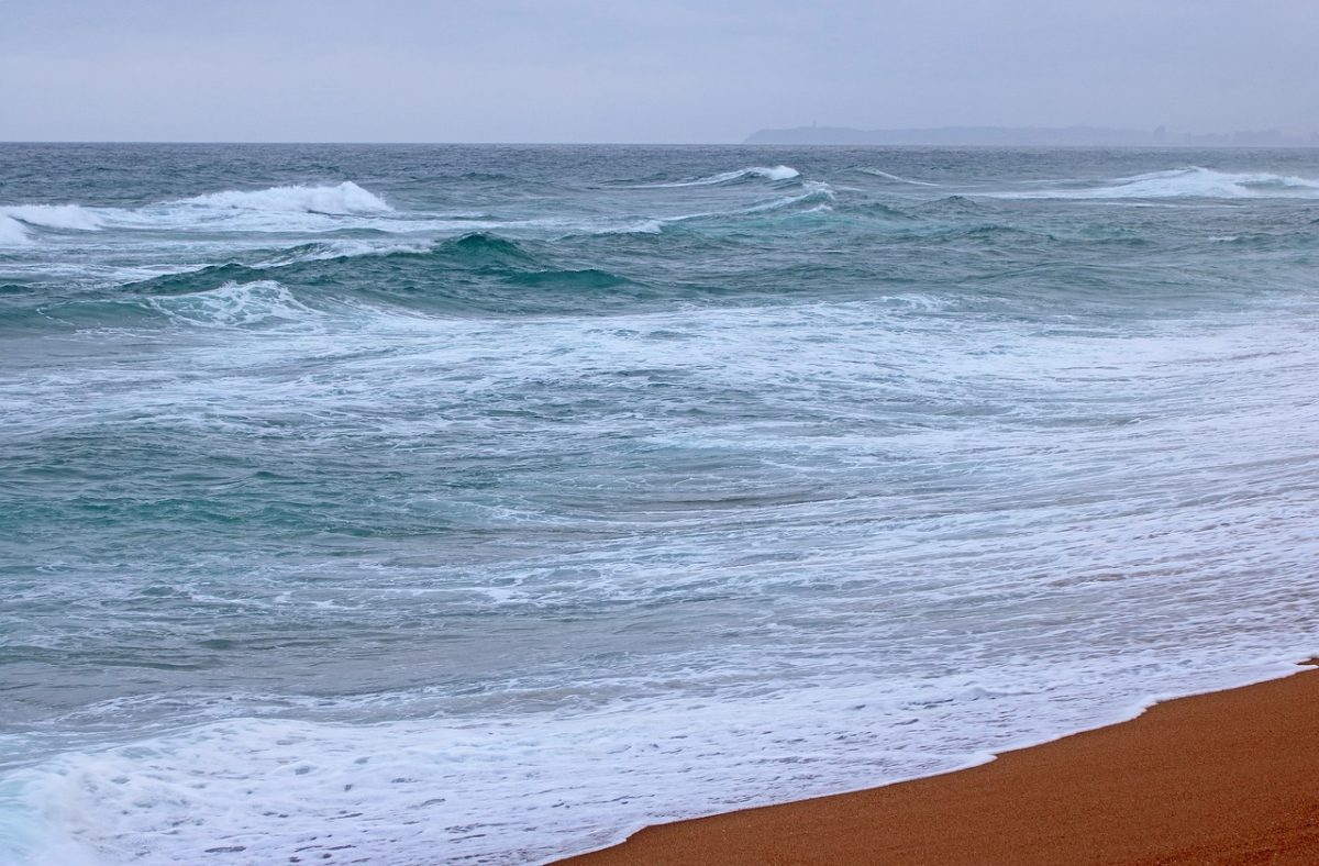 indian ocean, waves, surf, shoreline, beach, kwazulu-natal, south africa, ocean surface, natural, horizon, calm, blue, reeds, sea foam, clouds, wild nature, sea breeze, summer landscape, nature scenery, countryside, southern hemisphere