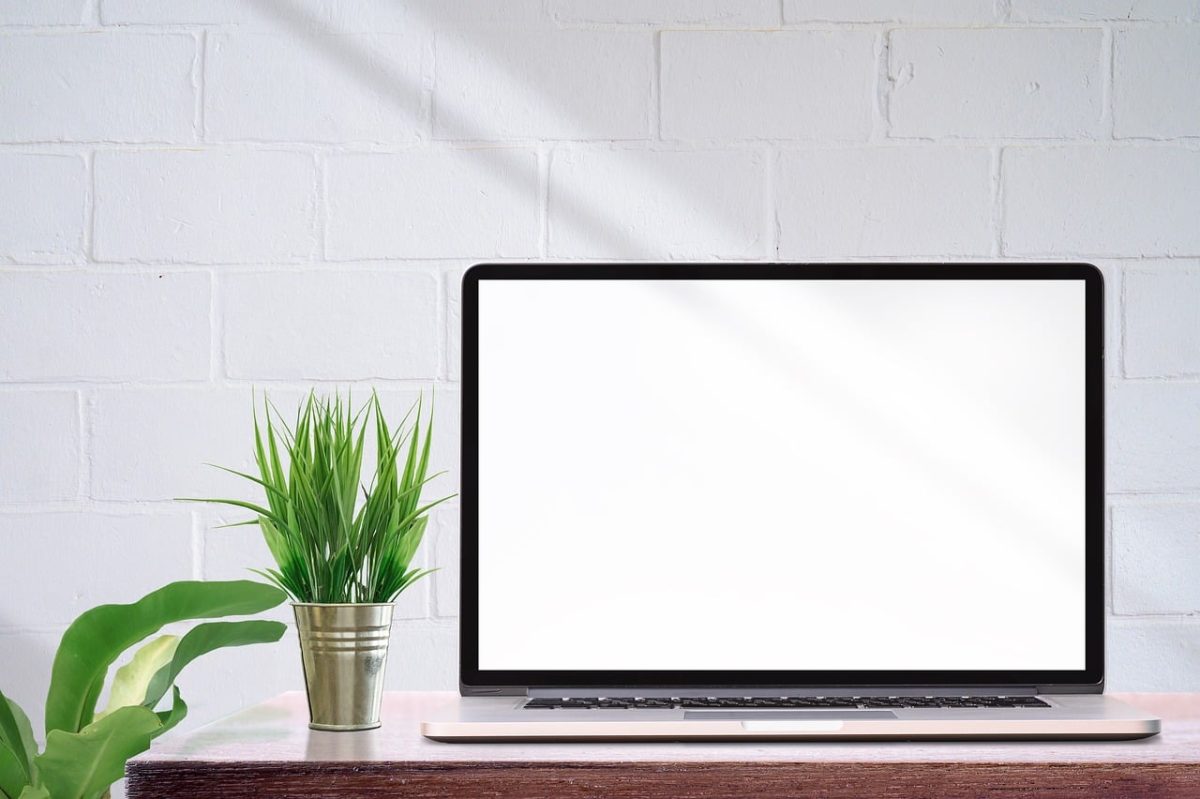 wall, cool backgrounds, wallpaper hd, background, 4k wallpaper, full hd wallpaper, house, green, plant, table, desk, free wallpaper, room, office, floral background, interior, design, template, workplace, minimal, display, mock, digital, desktop backgrounds, wallpaper 4k, free background, mac wallpaper, notebook, business, hd wallpaper, laptop, 4k wallpaper 1920x1080, beautiful wallpaper, monitor, blank, windows wallpaper, technology, nature, laptop wallpaper, internet