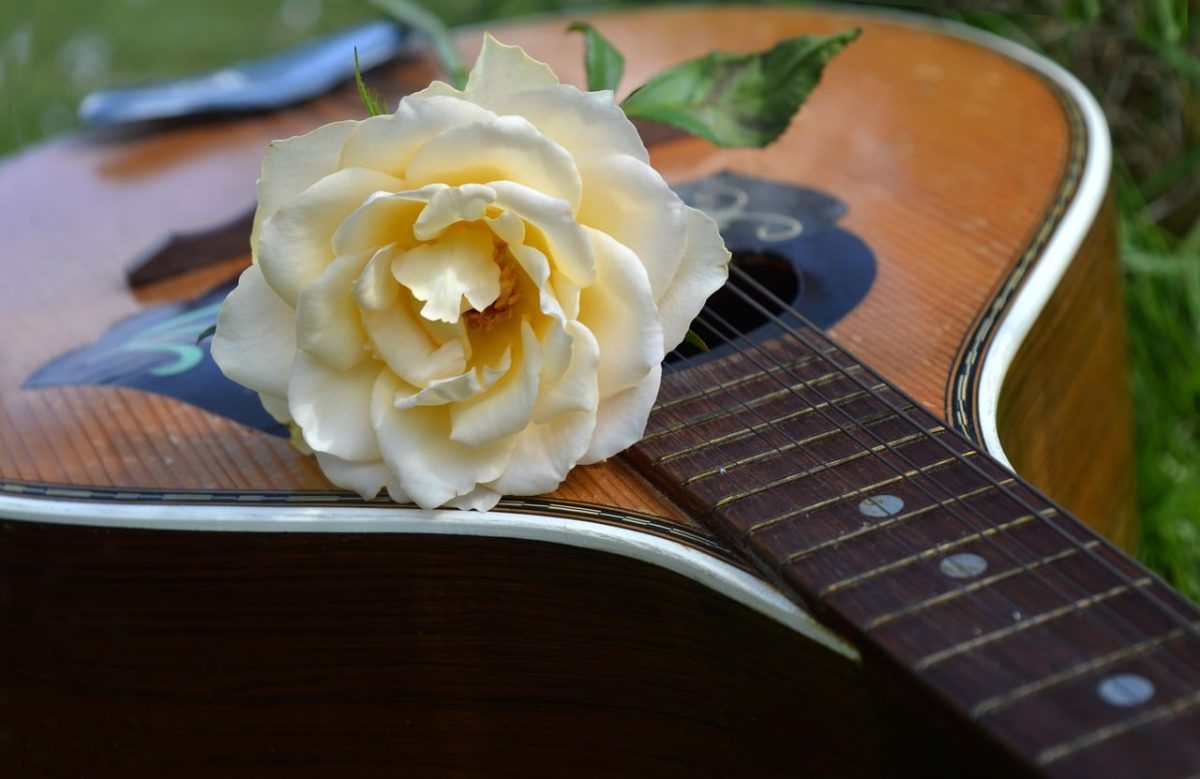 guitar, rose, musical instrument, string instrument, fretboard, artistic photography, spring, close-up, flower, music, craftsmanship, folk music, natural environment, aesthetics, relaxation, decorative, tradition, romantic, melody, chill