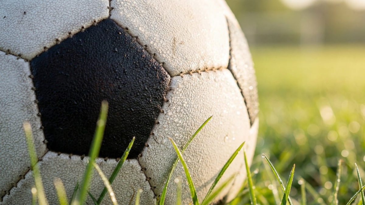 soccer, ball, field, grass, outdoor, match, sport, football, close-up, soccer field, stride, game, outdoor activity, sports equipment, nature, entertainment, green, play ball, daylight, football game, reflection