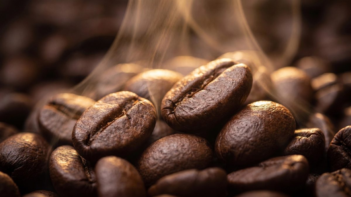 coffee beans, macro, roasted, steam, aroma, brown, fresh, hot, warm, golden, espresso, caffeine, drink, oily, glossy, dark roast, breakfast, morning, café, barista, pleasure