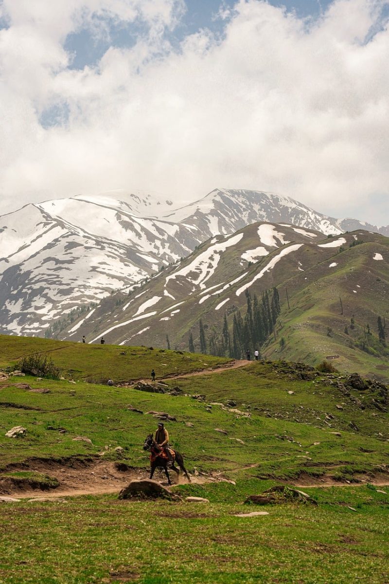 mountains, nature, landscape, hiking, forest, horse, rider, path, meadow, snow, alpine, summit, clouds, sky, summer, horse riding, outdoor, travel, adventure, scenery, pasture