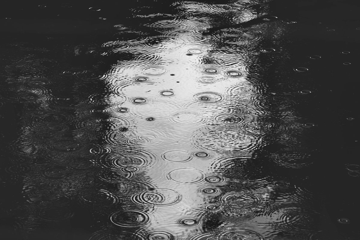 rain, water surface, raindrops, black and white photo, surface, precipitation, wet, circle, texture, pattern, abstract, ripple, minimalism, reflections, drawing, immersion, tread pattern, mirroring, pondering, water