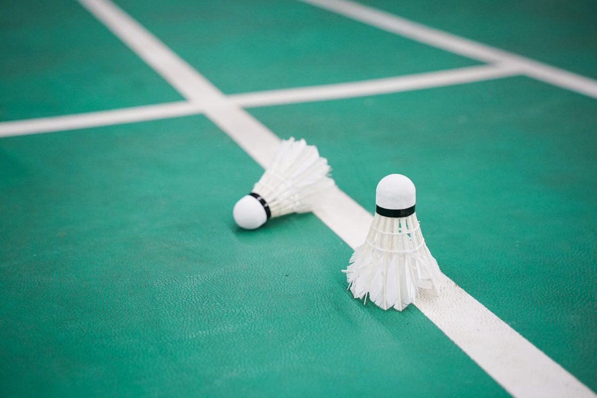 badminton, shuttlecock, sport game, player, indoor, court, feathers, line, hobby, game, play, tournament, green, floor, chaos, white, net, entertainment, professional, activity, equipment