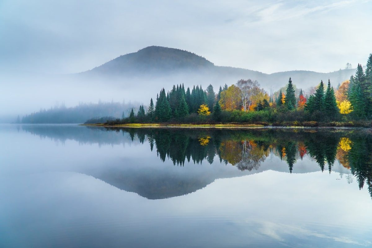 lake, fog, autumn, autumn nature, calm water, reflections, morning fog, forest, trees, canada, tremblant national park, landscape, nature, green, peninsula, mountains, misty morning, tranquil, depth, peaceful reflection