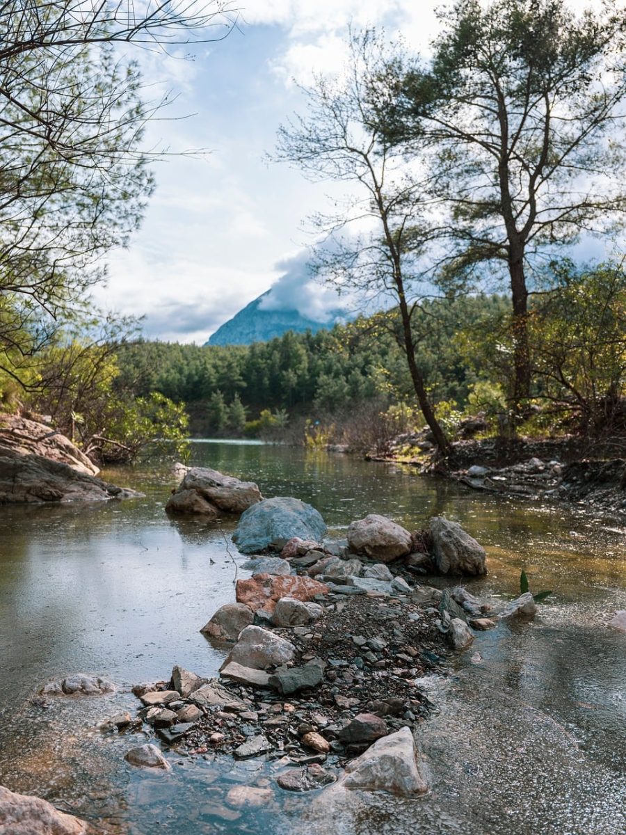 river, lake, mountain, rock, tree, forest, plant, nature, landscape, spring, summer, day, leaf, beautiful wallpaper, background, travel, excursion, sunny, morning, climate, floral background, natural beauty