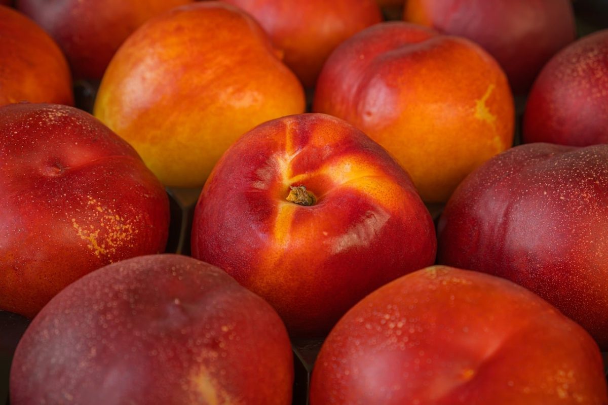 nectarine, fruit, red, orange, summer, ripe, food, vibrant, healthy, fresh, natural, agriculture, tactile, market, harvest, rich, vitamins, mass, coating, organic food, fruit for sale
