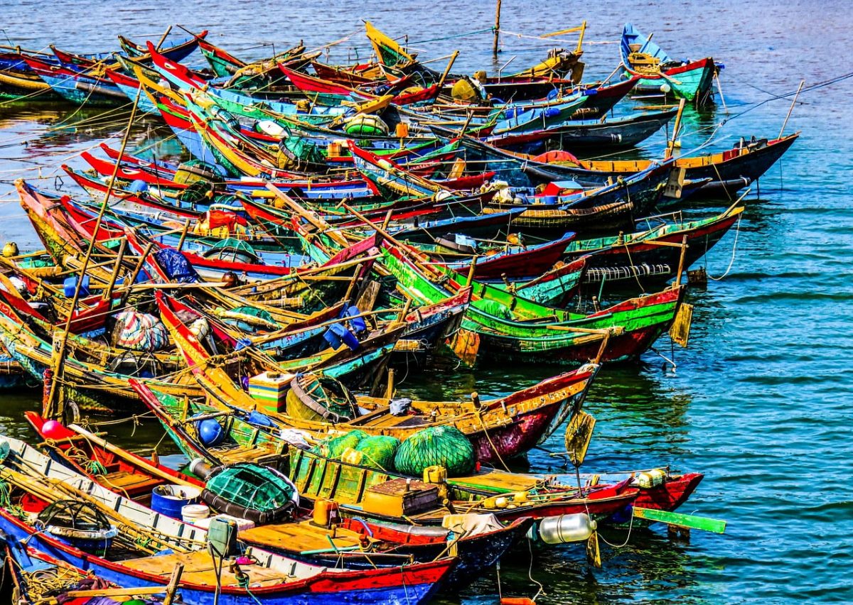 boat, fishing, port, lagoon, lake, sea, sightseeing, landscape, scenery, nature, travel, adventure, vietnam, boating, colorful, fishing boat, fishing village, traditional, basket, water, peaceful