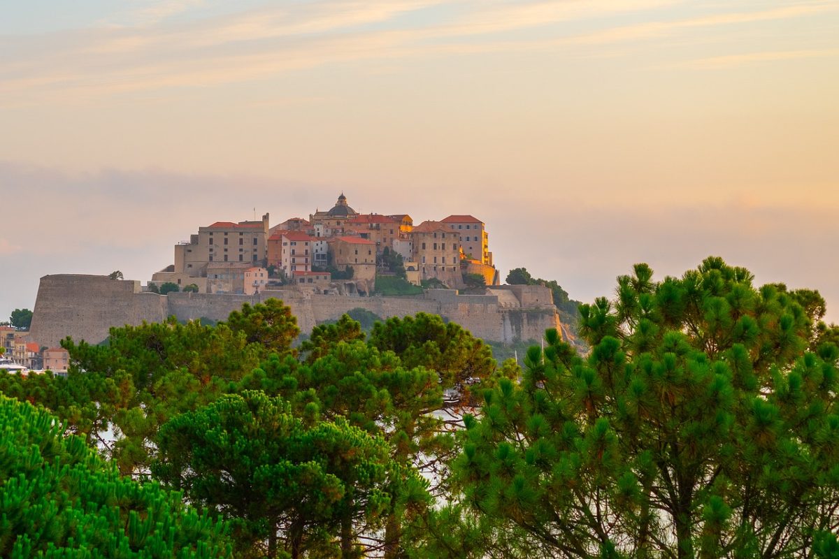 calvi, citadel, morning, vacation, corsica, summer, island, france, mediterranean, landscape, pine forest, beach, bay, sky, atmosphere, fortification, sight, city view, wall, dawn