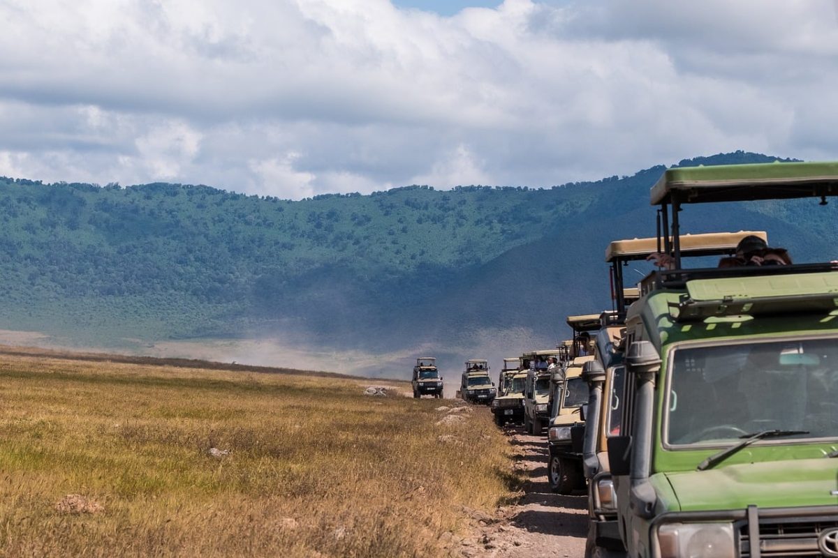 safari, jeep, traffic, ngorongoro, tanzania, tourism, africa, geography, ecosystem, mountains, natural beauty, crater, expedition, safari vehicle, tourist attraction, nature, four-wheel vehicle, wildlife, adventure, scenery, travel