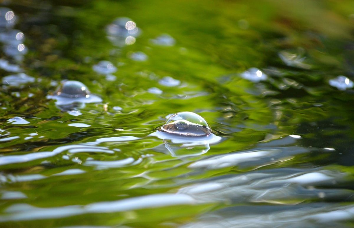 bubble, water, reflection, surface, nature, flow, light, abstract, calm, water surface, calm water, soft, liquid, blue, waves, art, melancholic, flowing water, green, smooth