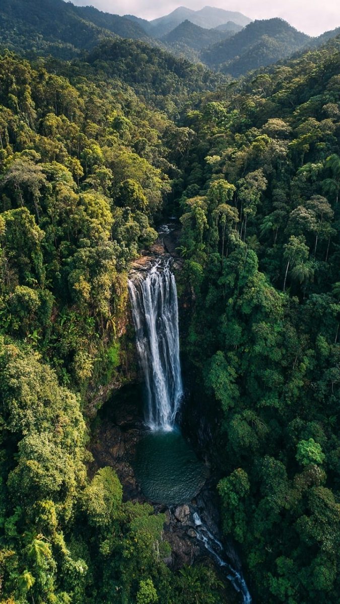 waterfall, forest, nature, jungle, mountains, greenery, rainforest, natural, tall, ecotourism, adventure, wild, view, aerial photography, green mountains, tranquil, remote, hydropower, destination, national park