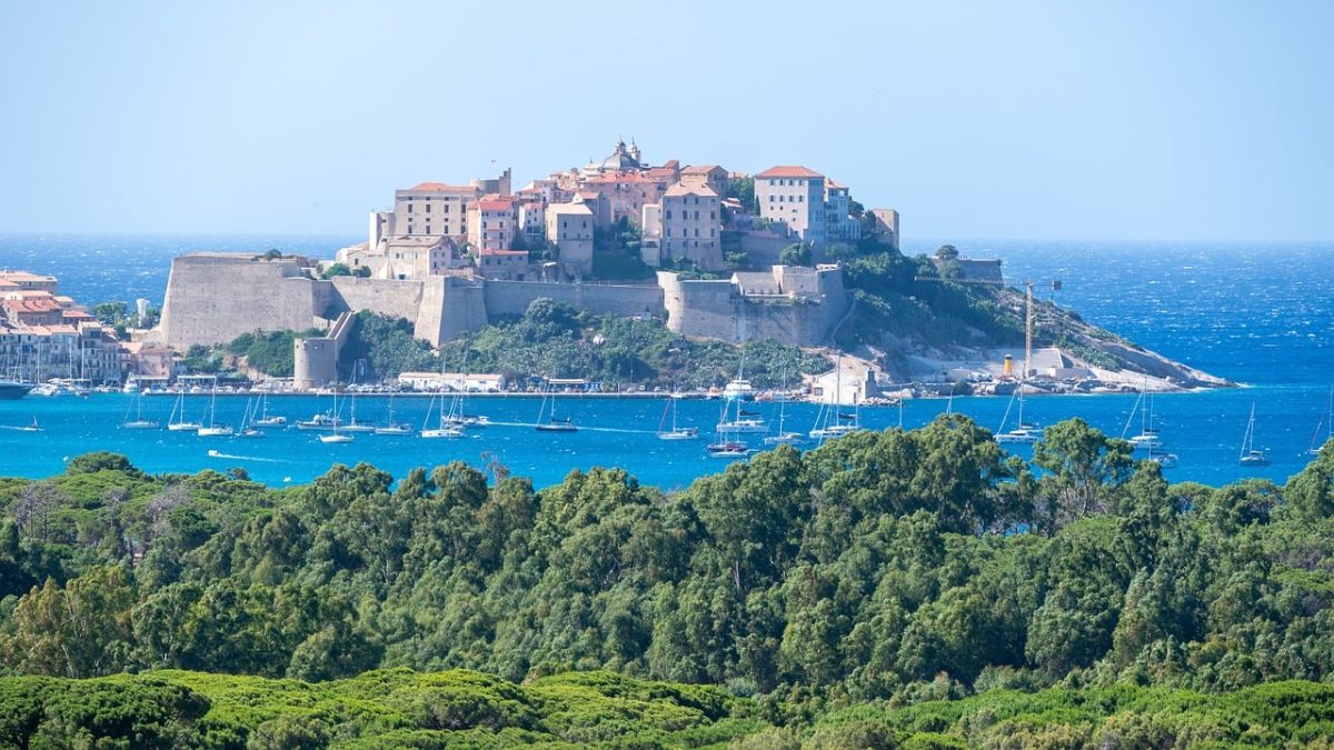 calvi, mediterranean, bay, boats, citadel, summer, panorama, old town, island, blue, horizon, nature, forest, sea, wind, city, harbor, sky, medieval, mediterranean style