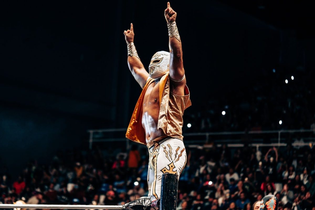 luchador, mask, wrestling, ring, audience, arena, celebration, entertainment, mexican culture, professional, victory, energetic, sport, competition, show, strong, figure, lighting, action, culture