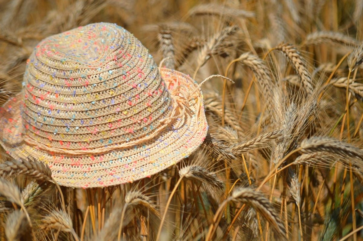 hat, wheat field, summer day, straw hat, nature, agriculture, ripe, spring, summer, harvest, grains, golden, straw, ear season, grain, sun hat, culture, peace in nature, hidden treasure, outdoor