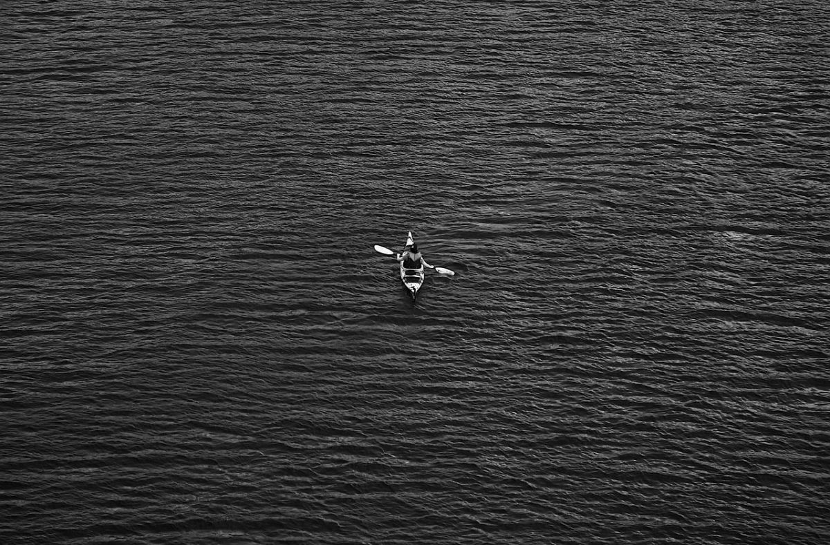 water, sea, paddle, black and white, canoe, solitude, sports, nature, water transport, activities, adventure, recreational, distance, calm, serenity, rower, boat, simplicity, travel, minimalism, water adventure