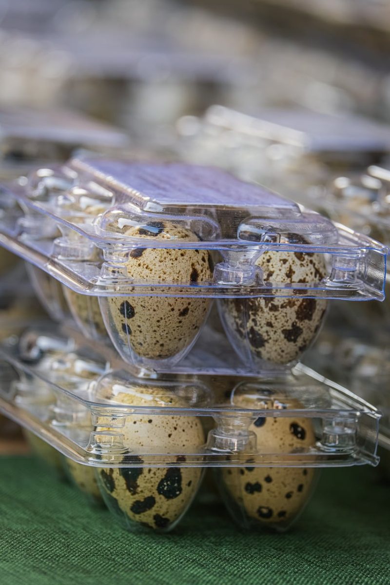 quail eggs, plastic packaging, speckled, organic, nature, healthy, food, fresh, detail, natural product, packaging, small size, supermarket, close-up, protein, popular food, cuisine, nutrition, cooking