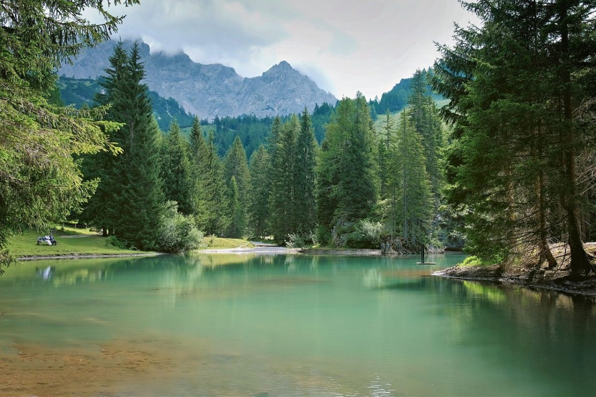 lake, mountains, forest, nature, calm, great outdoors, clear water, grass, panorama, tranquility, water, europe, alps, landscape, trees, silence, natural beauty, outdoors, hiking, morning