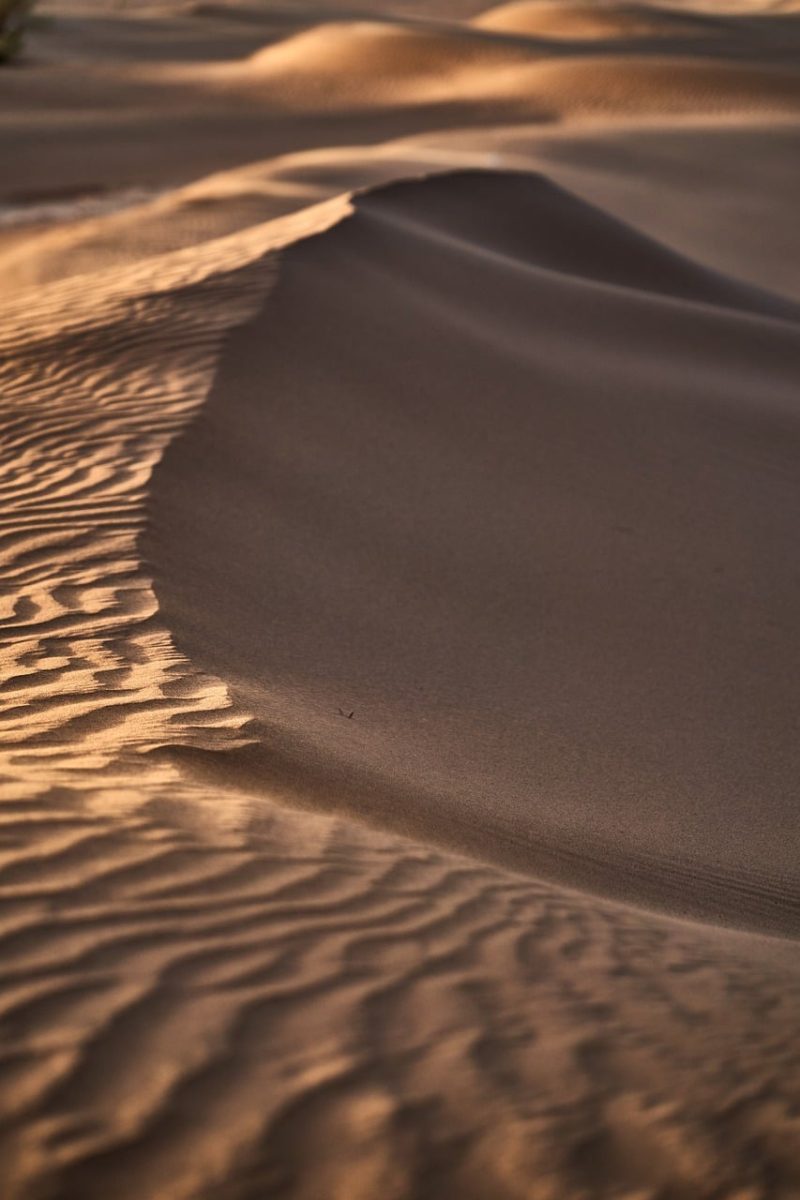 desert, sand dunes, sand patterns, sand, desert landscape, landscape, texture, golden hour, natural beauty, nature, landscape photography, natural pattern, serene, undulating, minimalism, calmness, sand color, natural scenery, wide angle, silence