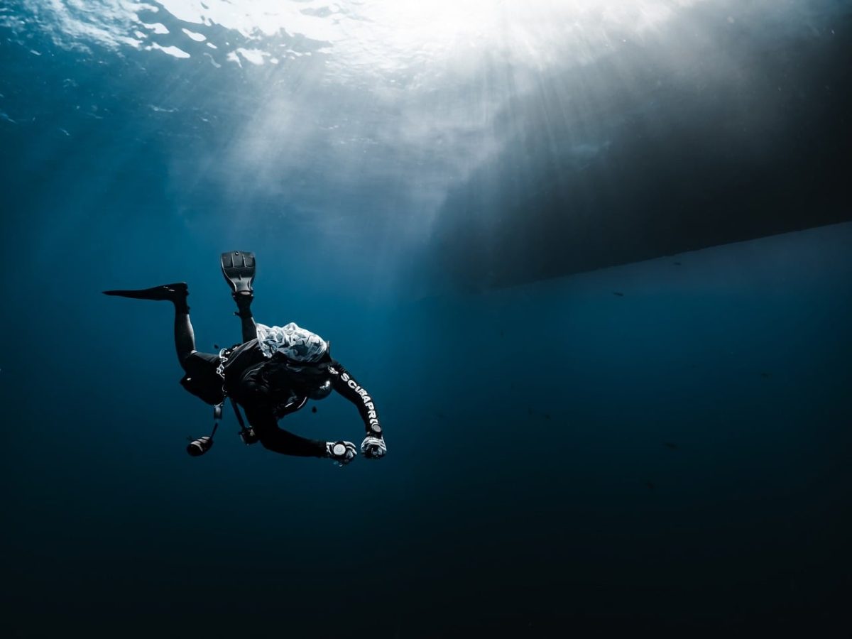 diver, underwater photography, ocean, sea depth, light rays, dive guide, seaweed, safety stop, sidemount diving, natural beauty, quiet ocean floor, wetsuit, underwater realm, underwater visibility, red sea, water adventure, underwater training, air bubbles, nature, adrenaline sport