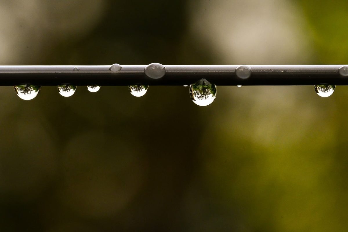 drop, raindrop, free background, 4k wallpaper 1920x1080, nature, green, sharp, wallpaper 4k, capillary action, hd wallpaper, beautiful wallpaper, minimalism, 4k wallpaper, reflection, bubble, macro, laptop wallpaper, cool backgrounds, outdoor, focused, windows wallpaper, free wallpaper, wallpaper hd, calm, symmetrical, background, full hd wallpaper, desktop backgrounds, wet, wire, macro lens, mac wallpaper, macro photography, water drop
