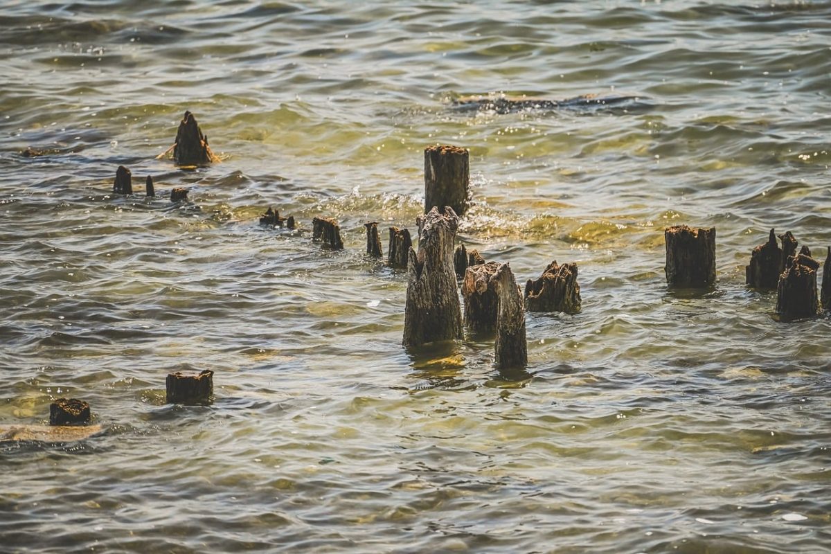 wooden stakes, water, nature, lake, wood, shoreline, lake water, decay, natural environment, deterioration, antiquity, ruin, low tide, natural decay, sunlight, blue-green, dilapidated, effect, gray-brown