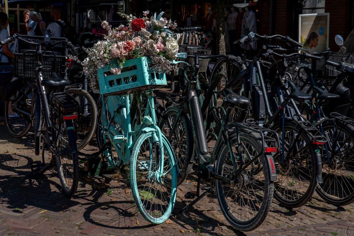 bicycle, flowers, decoration, netherlands, bike parking, blue, turquoise, bike basket, city, card, stationed, sunny, lighting, shadow, street, modern, brick, garden, ornament, touristic