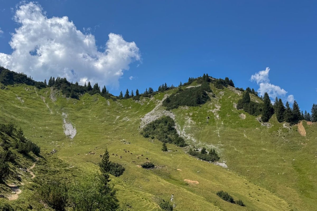 mountains, pasture, sky, clouds, trees, meadow, hiking, nature, panorama, grass, sunny, destination, recreation, tourist destination, outdoor, view, tranquility, flora, water