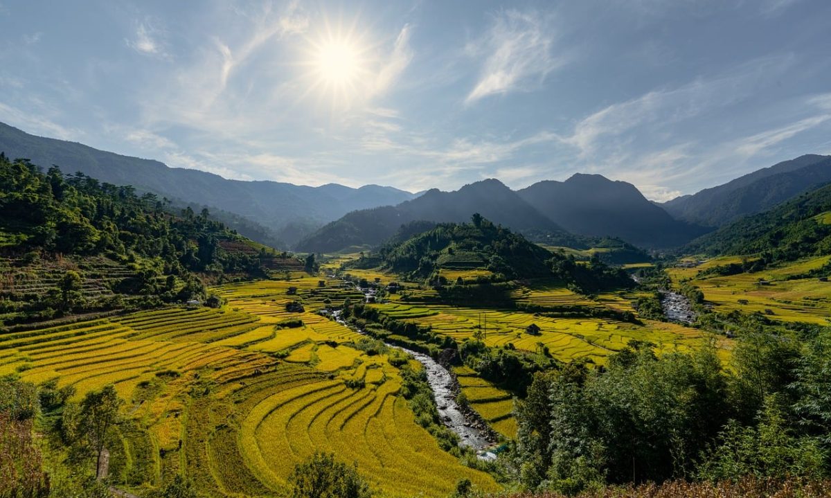 terraces, rice fields, sunlight, vietnam, nature, river, hills, landscape, green, agriculture, mountains, blue sky, asian countryside, sun rays, countryside, green rice, agricultural pole, clear sky, field