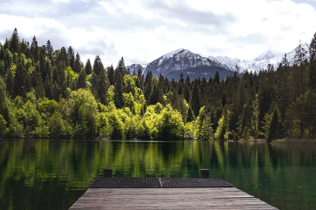 lake, forest, mountains, switzerland, nature, alps, graubünden, rugged, lakeside, wooden, dock, trees, green, serene, gallery, tree, reflection, scenic, hiking, contemplative