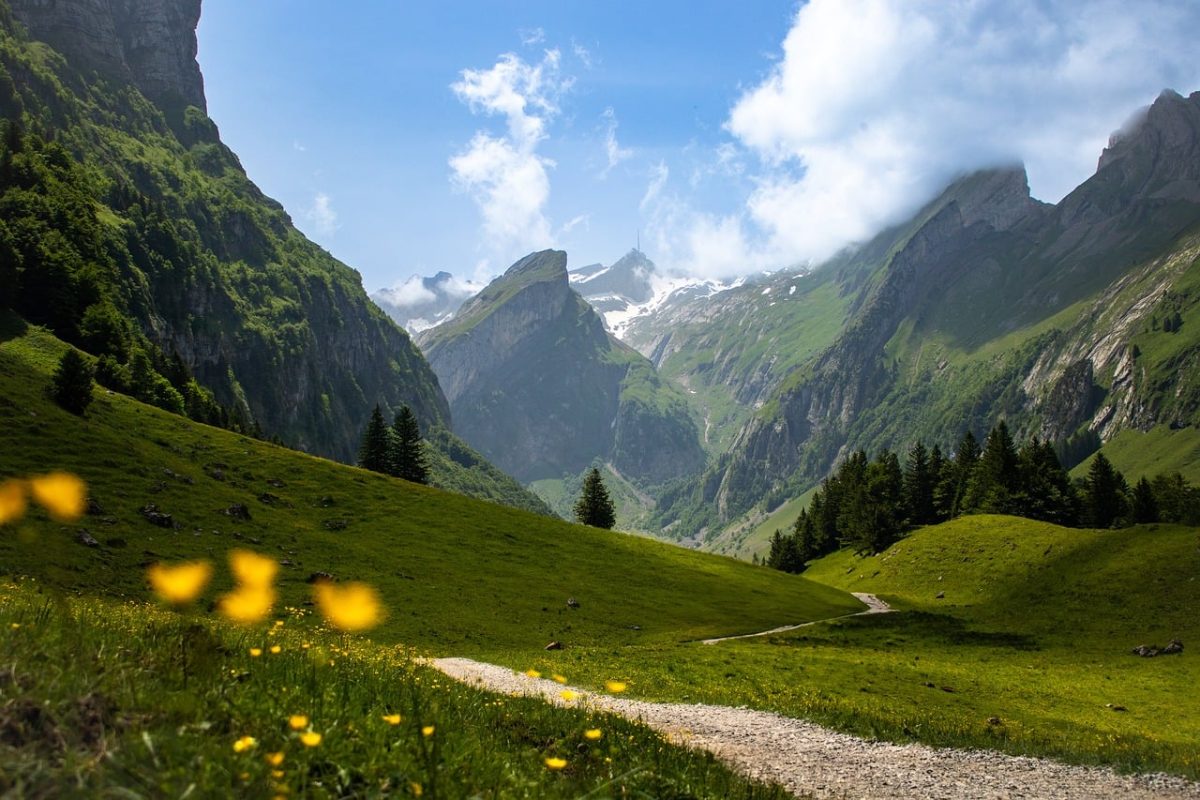 alps, mountains, valley, nature, lake, greenery, forest, gravel path, alpstein, switzerland, hiking, summer, sky, panorama, hiking trail, natural beauty, blooming flowers, path, fresh air