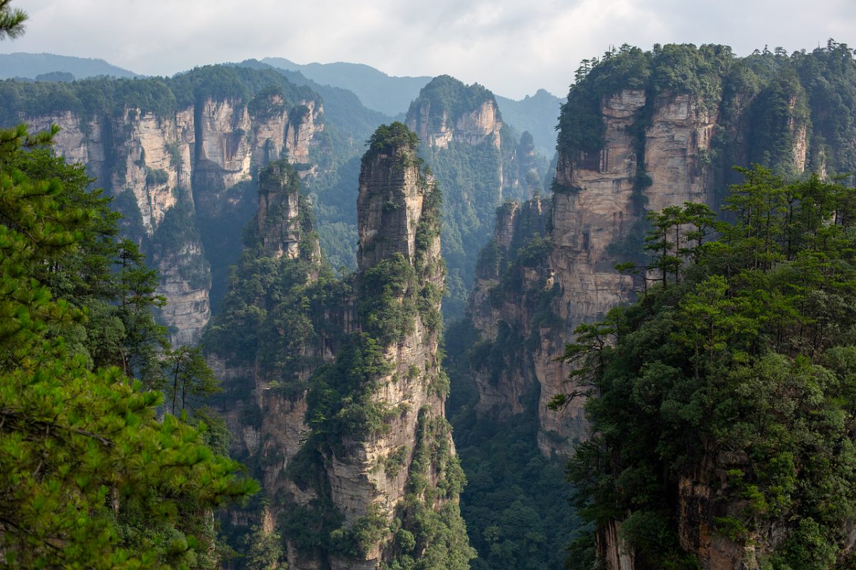 zhangjiajie, mountains, forest, rock pillars, nature, trees, mist, landscape, hiking, tourist attraction, national park, natural wonder, paradise, tranquility, ecotourism, adventure, travel, misty mountain