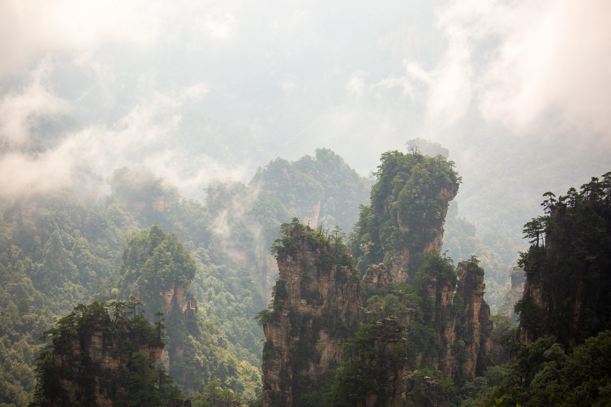 nature, mountains, fog, forest, trees, zhangjiajie, rock formations, national park, china, misty, stones, natural scenery, tourism, tranquility, wilderness, remote, ecology, limestone cliffs, asian landscape