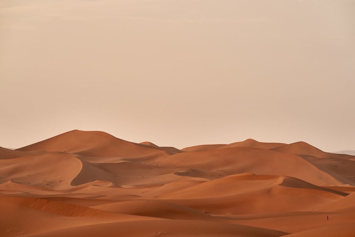 desert, sand dunes, sahara, desert landscape, sandstone, natural scenery, sunset, solitude, desert sand, warm tone, emptiness, harsh conditions, distance, horizon, claustrophobia, nature, natural beauty, shades of orange, travel, tourist attraction