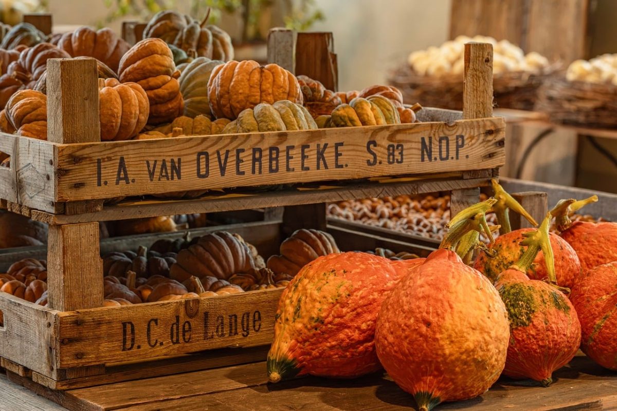 pumpkin, harvest, farm, autumn, rustic, wood, decoration, still life, baskets, storage, fruits, highlight, outdoor, traditional, agriculture, orange, text, vegetable, fresh, crate, farmer