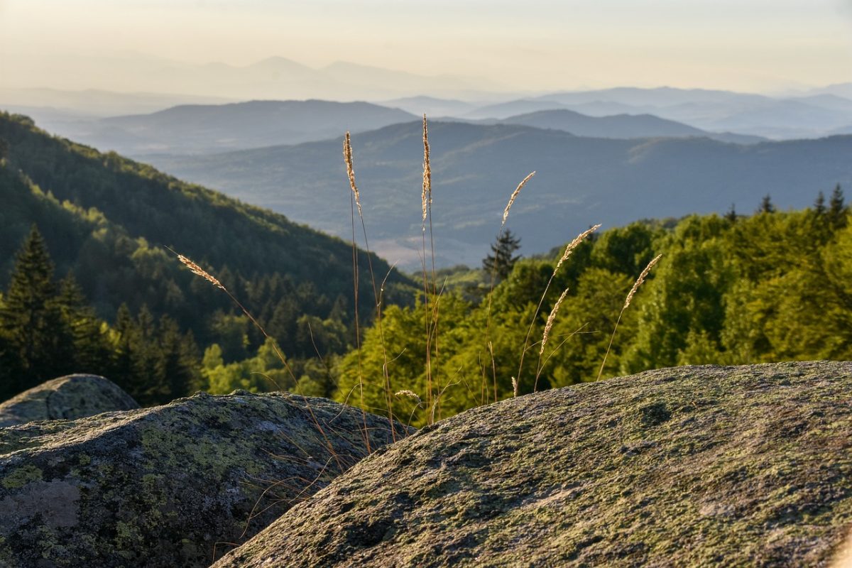landscape, mountains, forest, rocks, nature, horizon, grass, idyllic, view, fresh, ecotourism, hiking, peaceful, distant, daylight, natural, gentle, refreshing, meadow, hill